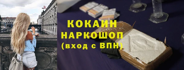 гашик Няндома