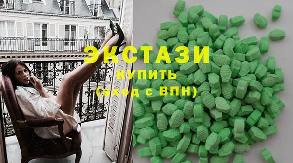 гашик Няндома