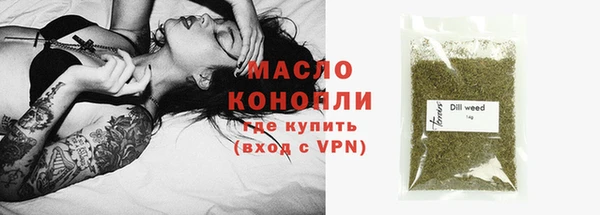 гашик Няндома
