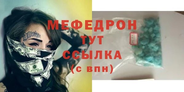 гашик Няндома