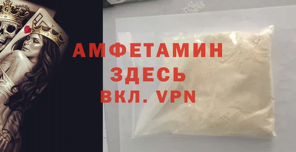 гашик Няндома