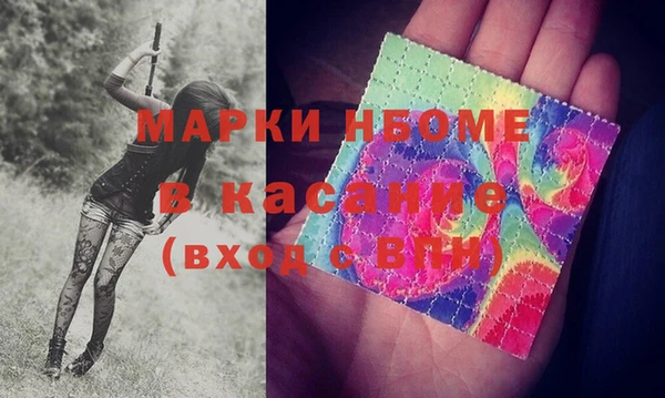 гашик Няндома