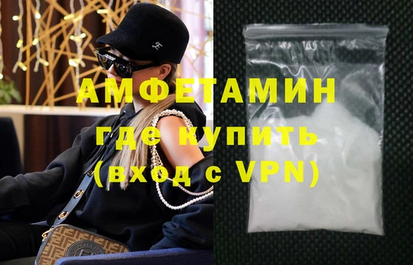 гашик Няндома