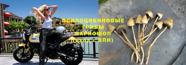mdpv Нягань