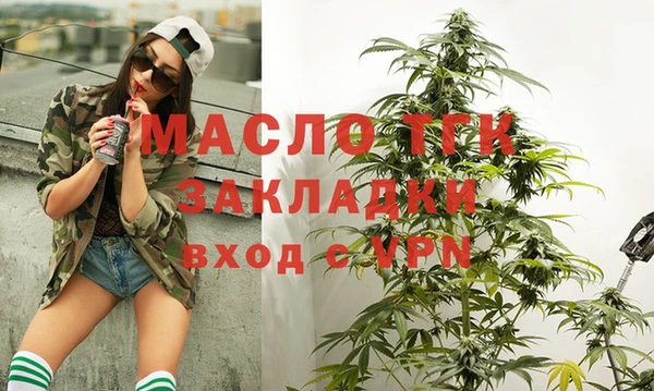 гашик Няндома