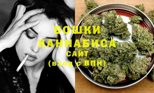 гашик Няндома