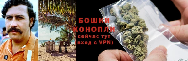 гашик Няндома