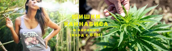 гашик Няндома
