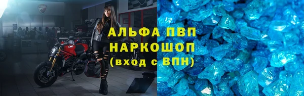 гашик Няндома