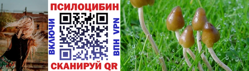 Купить закладки  Когалым  Псилоцибиновые грибы прущие грибы 