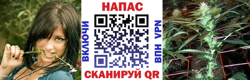 Купить  Когалым  Канабис OG Kush 